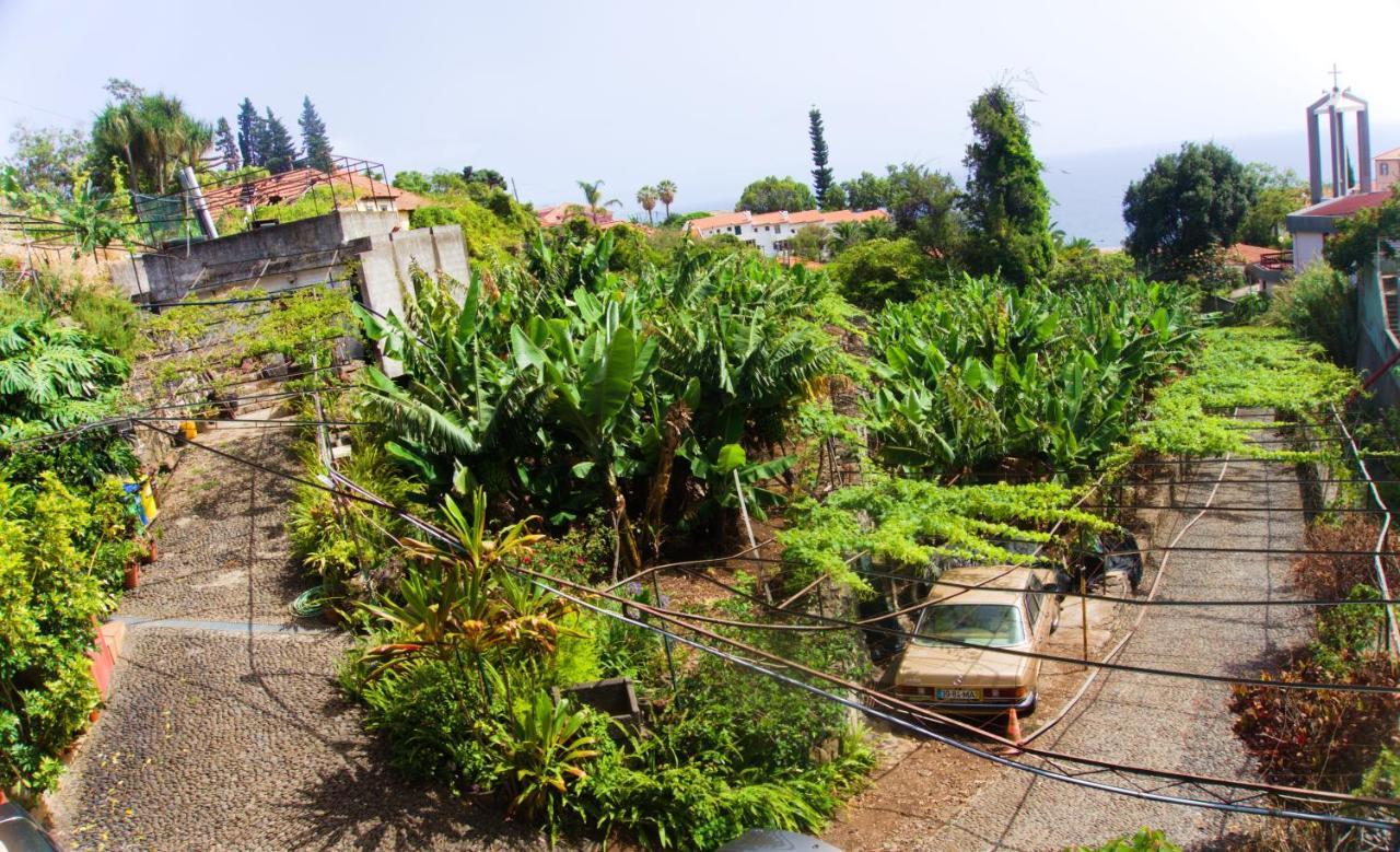 Villa Catanho Funchal  Eksteriør bilde